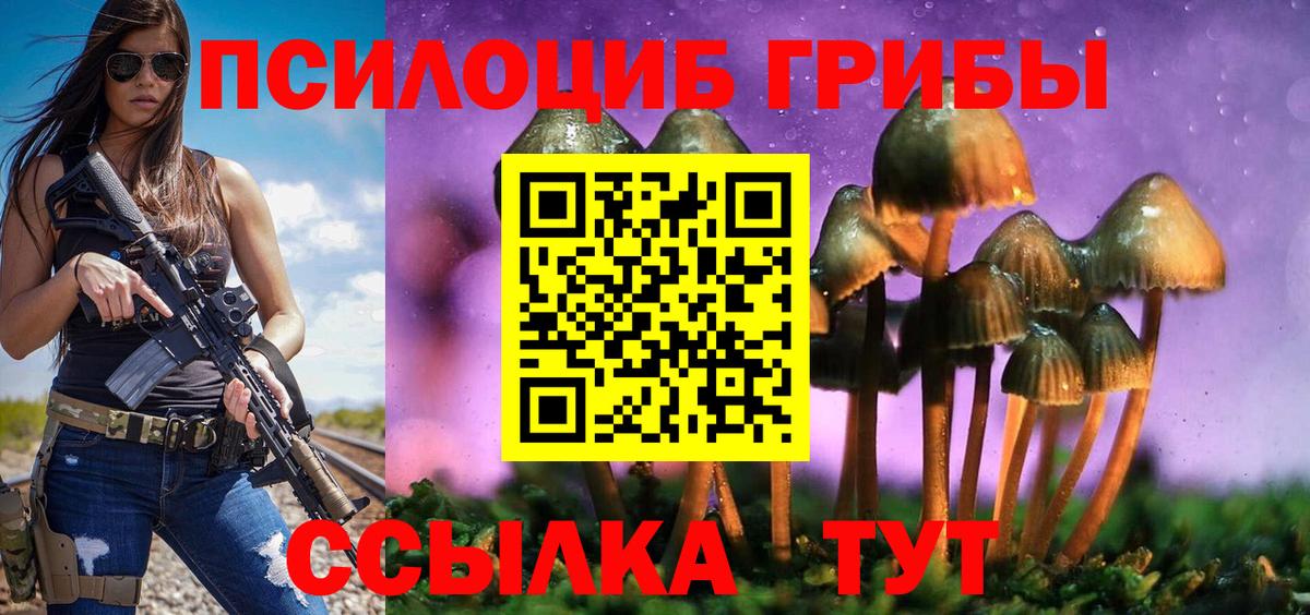 Псилоцибиновые грибы Psilocybe Вязники